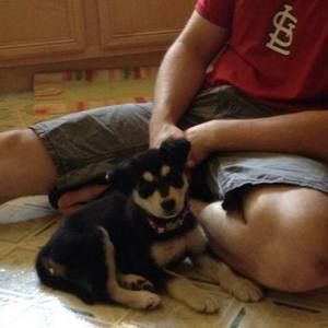 Meet your Posher, Grant